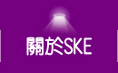 辰奕有限公司-關於SKE