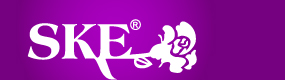 辰奕有限公司 - logo